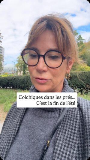 Virginie Hocq Instagram - Ça vous fait ça aussi le passage étroit vers l’automne feuille 🍁 ? #autumnvibes🍁