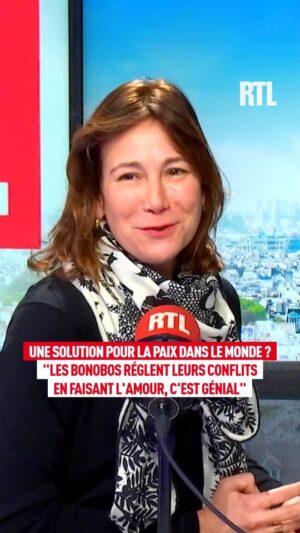 Virginie Hocq Instagram - Une solution pour la paix dans le monde ? "Les bonobos règlent leurs conflits en faisant l'amour, c'est génial"
@hocqvirginie était l’invitée d'Éric Dussart et Jade dans "On Refait La Télé" 📺 Intégralité de l’émission sur rtl.fr et l’application #RTL
.
.
#radio #onair #live #replay #television #humour #virginiehocq #animaux #singe #bonobo #amour #paix