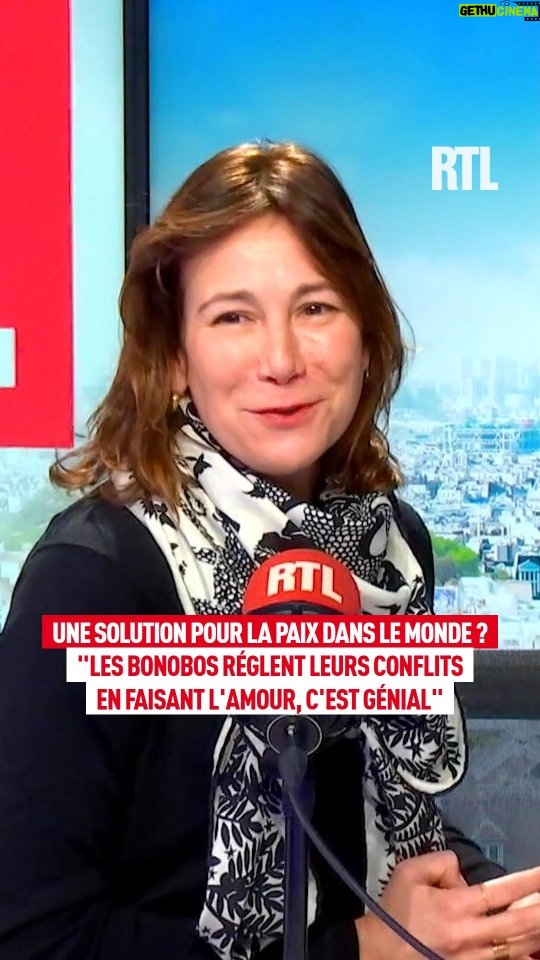 Virginie Hocq - 4.2K Likes - Une solution pour la paix dans le monde ? "Les bonobos règlent leurs conflits en faisant l'amour, c'est génial"

@hocqvirginie était l’invitée d'Éric Dussart et Jade dans "On Refait La Télé" 📺 Intégralité de l’émission sur rtl.fr et l’application #RTL 
.
.
#radio #onair #live #replay #television #humour #virginiehocq #animaux #singe #bonobo #amour #paix