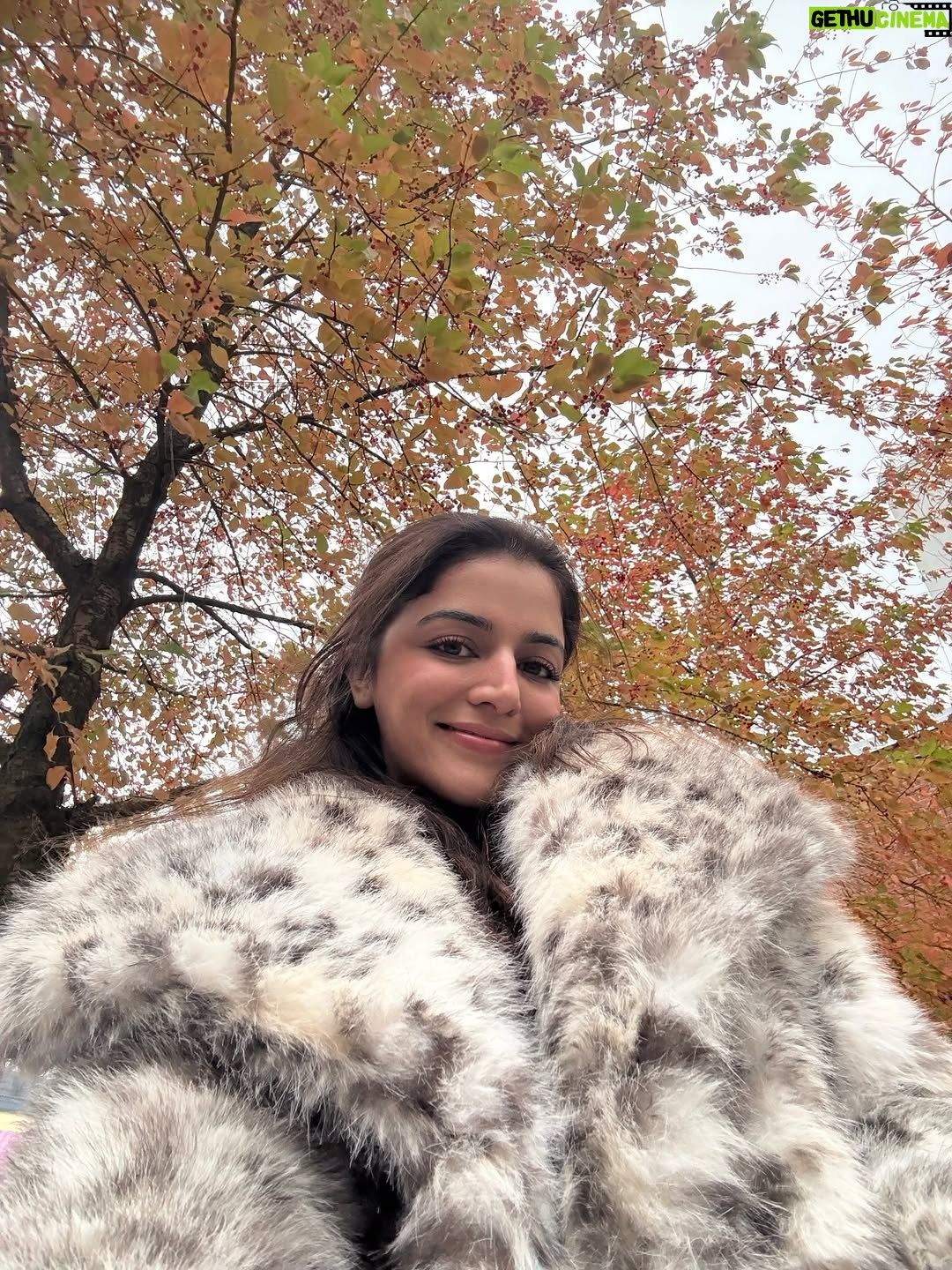 Wamiqa Gabbi - 596.4K Likes - Special birthday in so many ways 🤍🌸
Grateful to the Universe & big thank you to everyone who have shown so much faith in me and still do ✨🙏🏽
Cannot wait to show you all everything I have been working on. So many surprises coming your way next year 🙈🥹
Achhe logon se hi swarg hota hai aur meri zindagi toh bhari padi hai achhe logon se 🤍
Thank you everyone 🌸
#PremiqaIsOverwhelmed 🤍