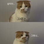 Wheein
