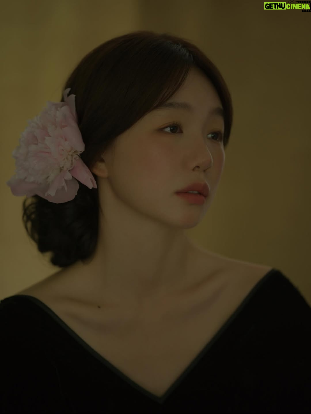 Xu Mengjie - 102.5K Likes - ˖⁩ ♡︎ › 🕊﹕─ 𓈒