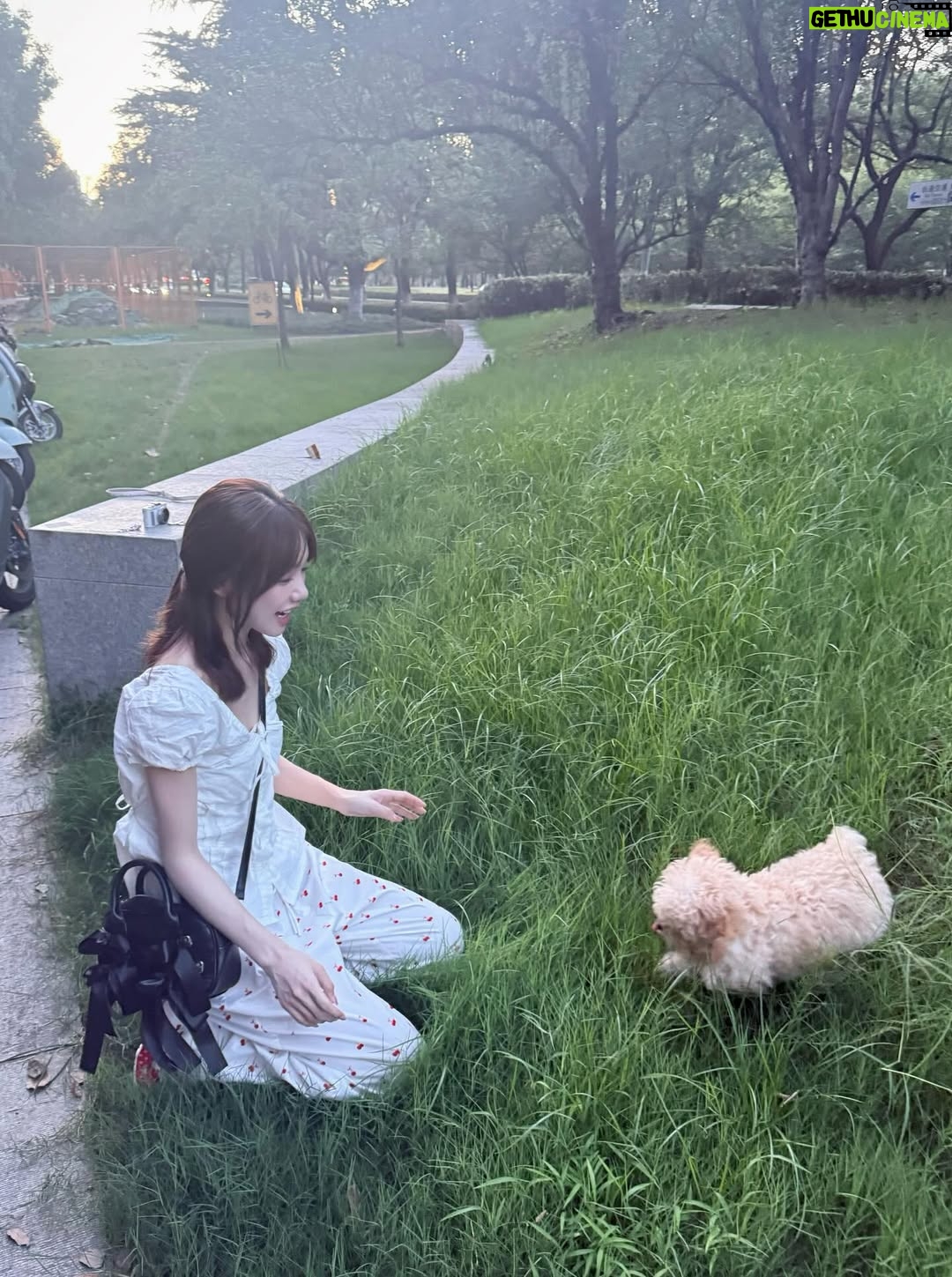 Xu Mengjie - 63.8K Likes - 🍃🌸🐶♡ ♡=♡²