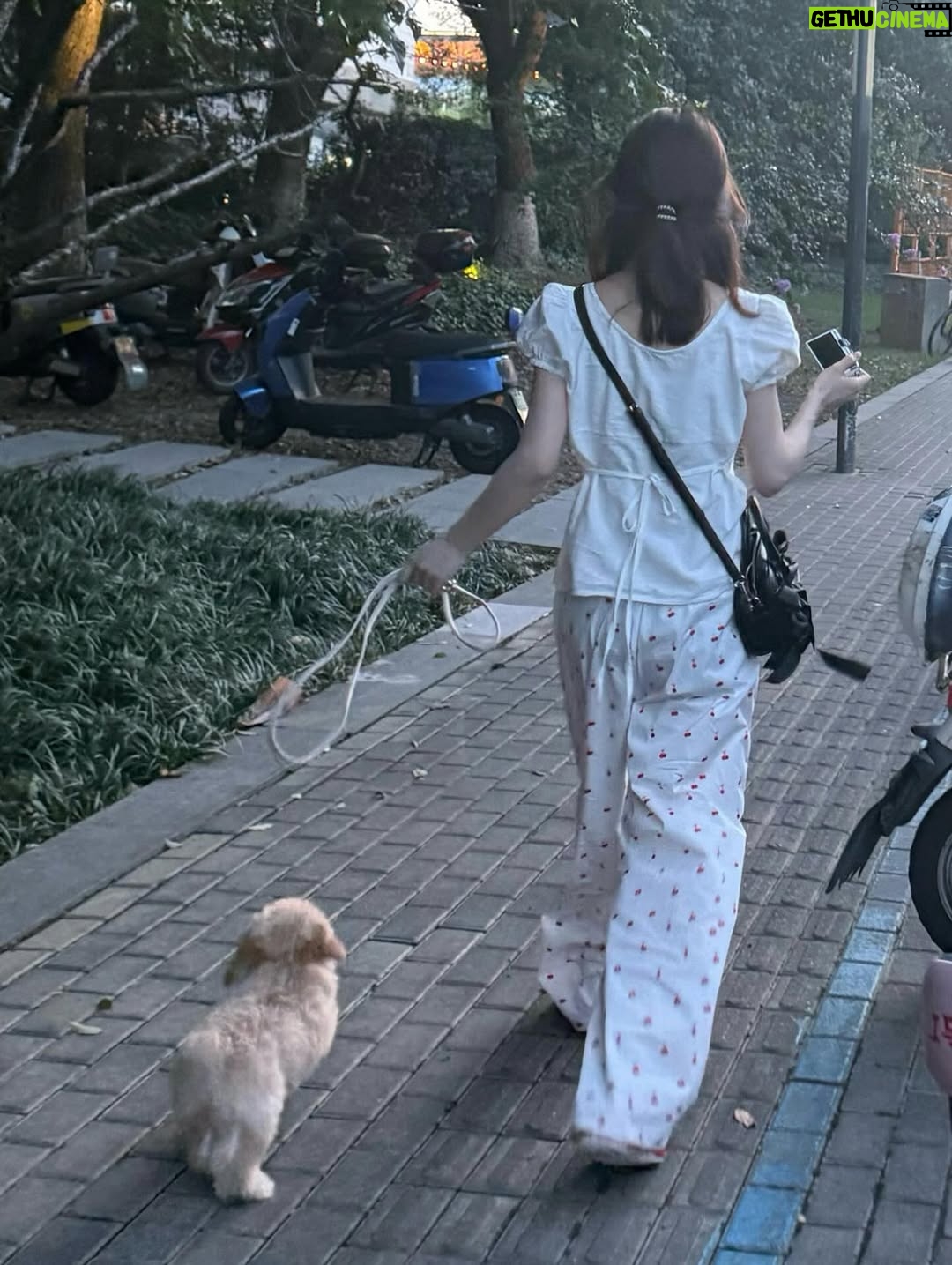 Xu Mengjie - 63.8K Likes - 🍃🌸🐶♡ ♡=♡²