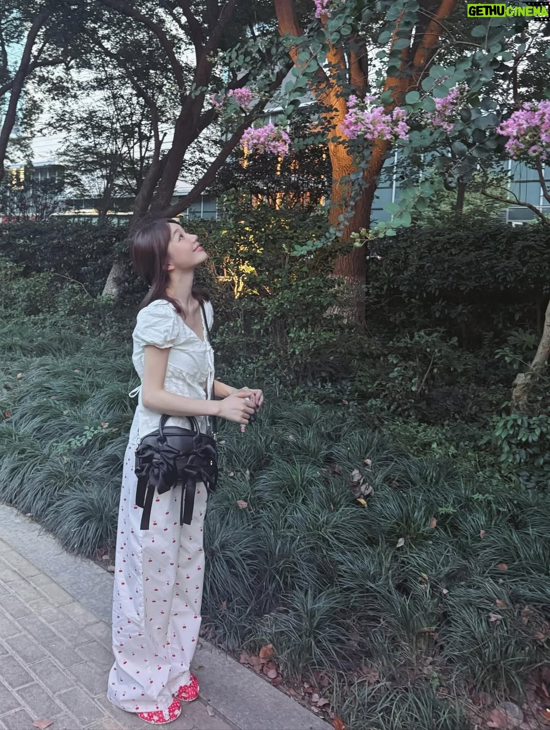 Xu Mengjie - 63.8K Likes - 🍃🌸🐶♡ ♡=♡²