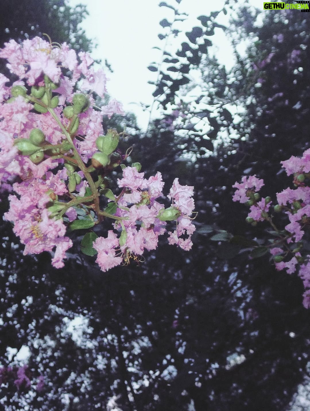Xu Mengjie - 63.8K Likes - 🍃🌸🐶♡ ♡=♡²