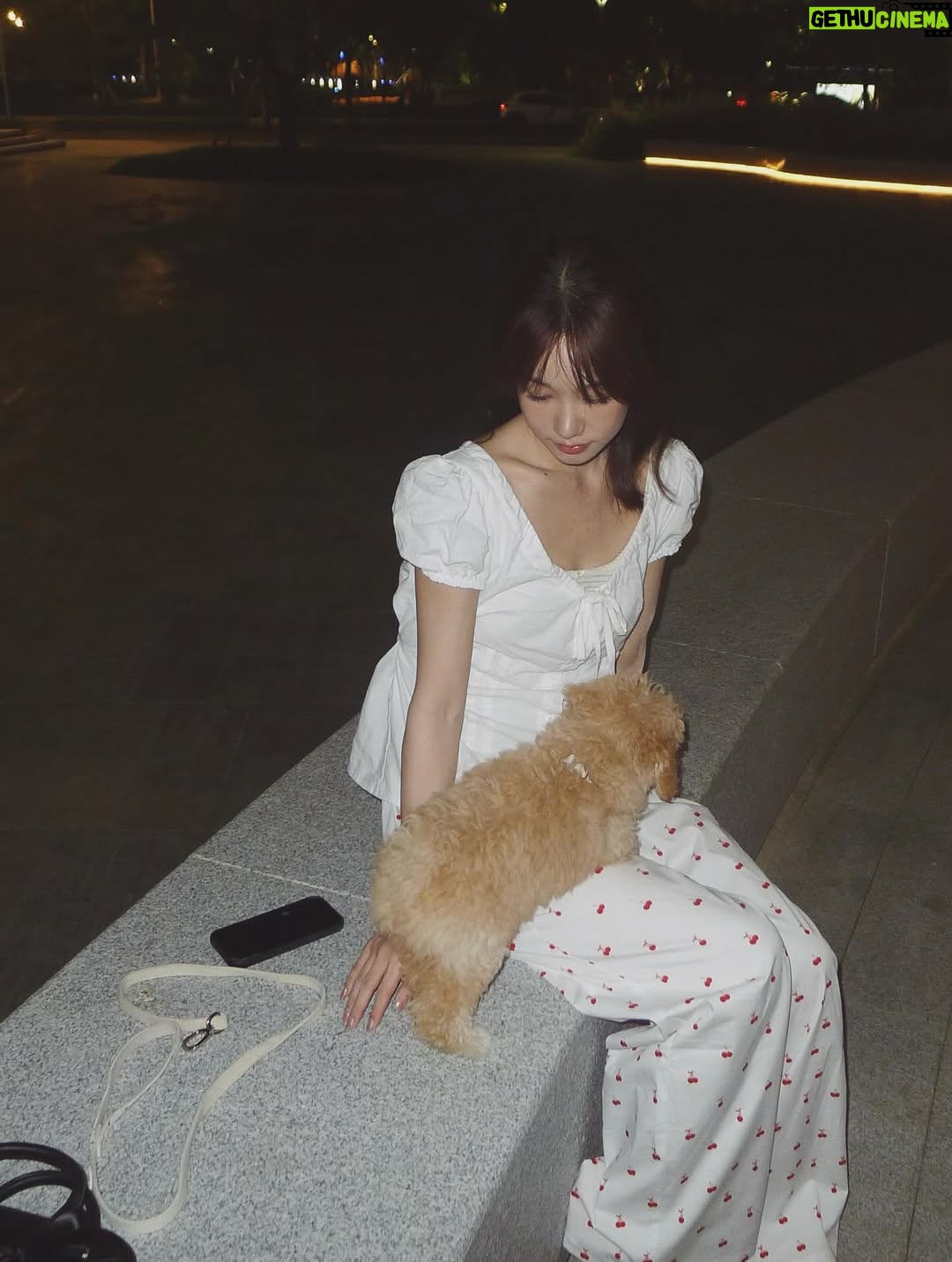 Xu Mengjie - 63.8K Likes - 🍃🌸🐶♡ ♡=♡²