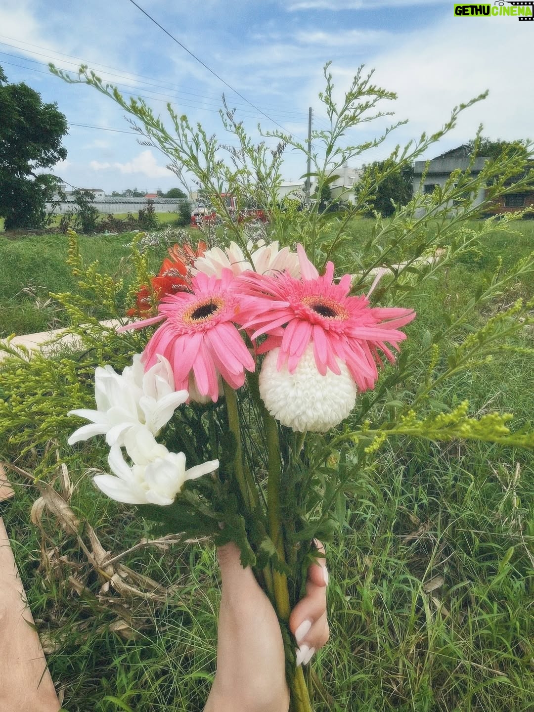 Ya-Gi Lai - 4.9K Likes - 前些日子已經和您好好告別了，
可想起來還是會不捨，夜深時還是會掉淚。

「謝謝。」
是在我幫您刮完鬍子後，您最後一次對我說的話。

其實，真正該說謝謝的人是我。
謝謝您是我的阿公，
謝謝您用最樸實卻最富足的愛陪伴我們長大。

今天，我想用這篇文紀念您，
也想和大家分享，您是多麼好的阿公。

阿公，辛苦了。
我愛您，永遠愛您。