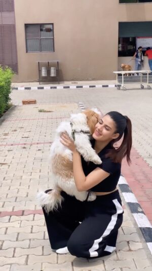 Yashika Anand Instagram - @_zoe_the_shih_tzu_

.

.
.

#trendingreels #explorepage #beautiful #blogger #video #reelsinstagram #viral #instagood #instafashion #instagram #cute #girl #punjabi #skincare #brand #travel #
