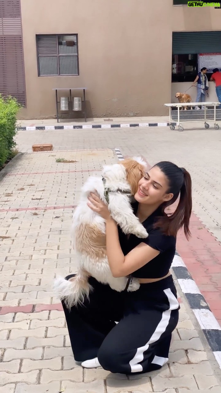 Yashika Anand - 30K Likes - @_zoe_the_shih_tzu_

.

.
.

#trendingreels #explorepage #beautiful #blogger #video #reelsinstagram #viral #instagood #instafashion #instagram #cute #girl #punjabi #skincare #brand #travel #