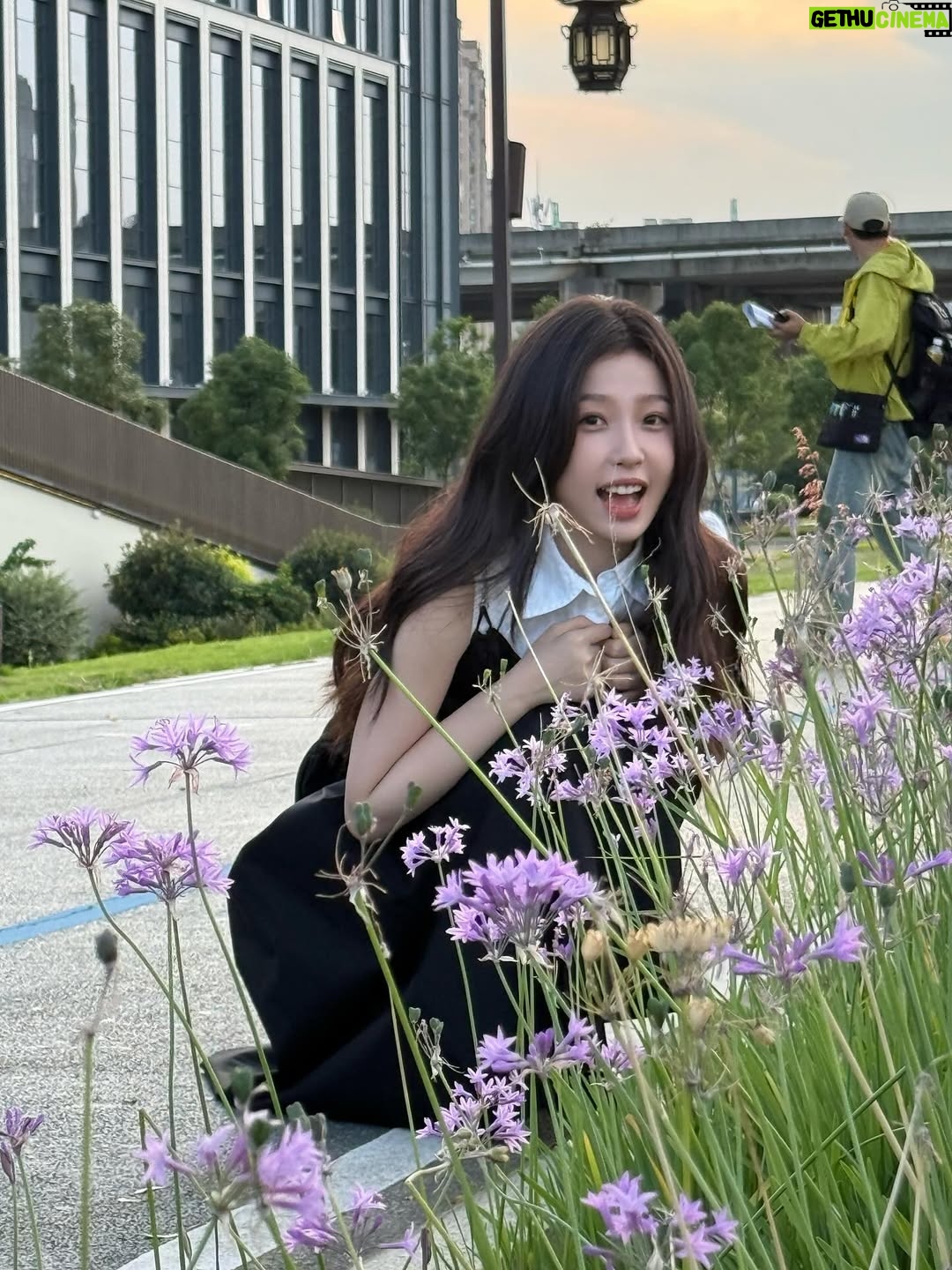 Yu Shuxin - 583.2K Likes - 🍺🍉