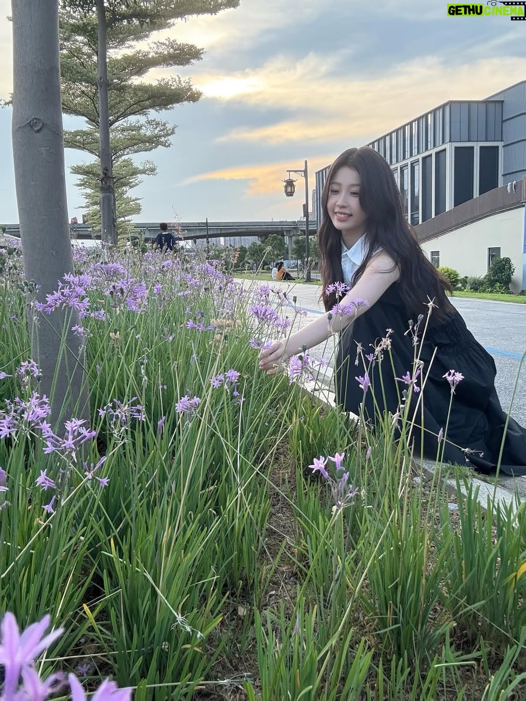 Yu Shuxin - 583.2K Likes - 🍺🍉