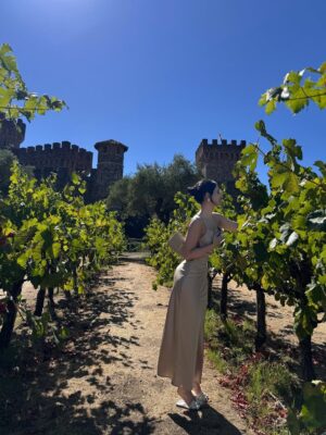 Yukti Chugh Instagram - When the dress is silk, the wine is aged, and the view is endless— Napa, you understand elegance.
