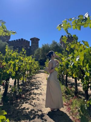 Yukti Chugh Instagram - When the dress is silk, the wine is aged, and the view is endless— Napa, you understand elegance.