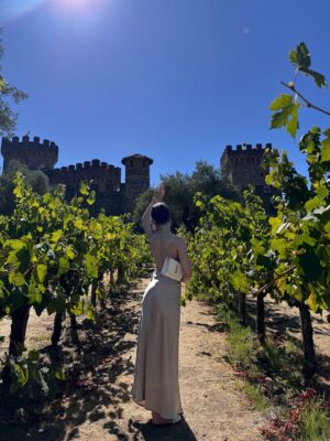 Yukti Chugh Instagram - When the dress is silk, the wine is aged, and the view is endless— Napa, you understand elegance.