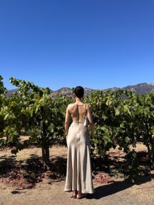 Yukti Chugh Instagram - When the dress is silk, the wine is aged, and the view is endless— Napa, you understand elegance.