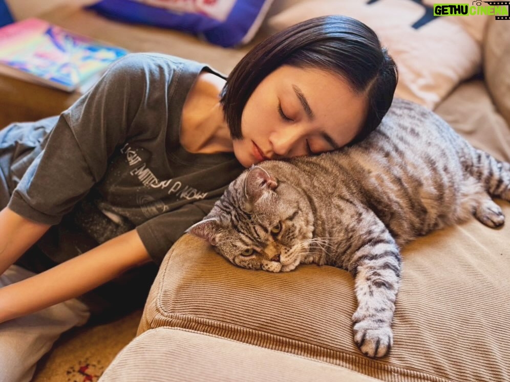 Yumi Adachi - 44.7K Likes - 🤍🩶🤍
ちょっと甘えるつもりが
いつの間にか寝落ち
迷惑そうなニャン😾
