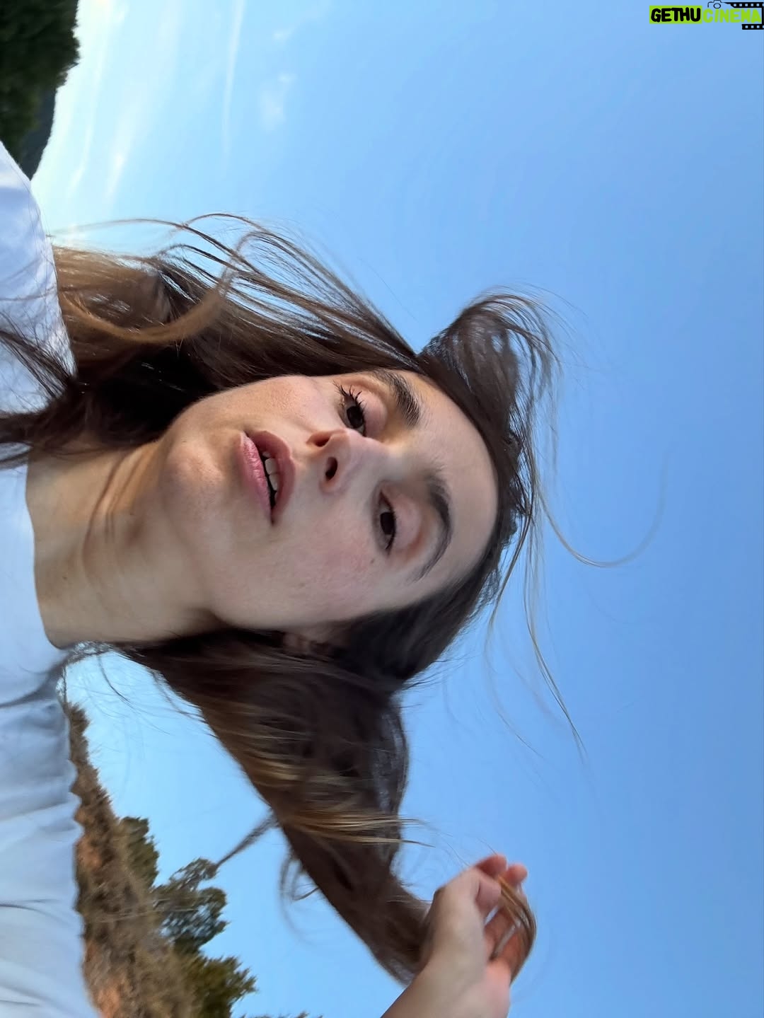 Zahara - 11.9K Likes - Llevo septiembre tatuado en el costado.
Mes del año nuevo sin roscón de reyes.
Avanza este animal indomable a un ritmo cada vez más vertiginoso y yo busco una barandilla a la que agarrarme. A veces tiene forma de corcito, paseo; otras de meditación o de la mano de mijo de camino al colegio. Converso sobre emociones con las personas a las que amo y me desanimo leyendo a @frankiepiza mientras me cuestiono qué sé sobre qué. Nada es la sensación que me acecha. Lo que implica un océano de posibilidades.
Dicho esto, qué frío hoy ¿no?