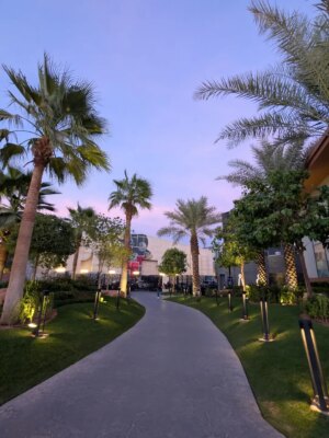 ankitaa Chauhan Instagram - What a great day at EWC meeting all qts ā¤ļø
#riyadh #riyadhboulevard #ewc #ewc2025