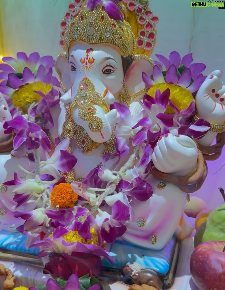 dr Mona Bhavsar - 3 Likes - पुढ़च्या वर्षी लवकर या 🙌🏻🥺
गणपती बाप्पा मोरया 🙏🏻

#ganapatibappamorya #pudhchyavarshilavkarya