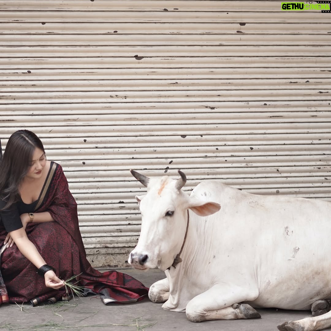 geetika bisht - 5.3K Likes - Yahi sach hai!🖤
.
.
#aesthetic #old #oldfashion #vintage #look #beauty #fashion #lifestyle #oldsongs❤️🎶 #traditional #saree #explorepage✨