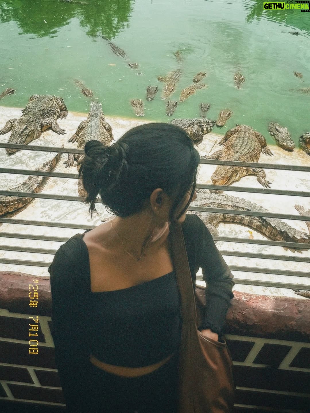 laavanya prol - 55.9K Likes - My memories at Pattaya, Thailand 🫶🏻

Travel partners: @Dimaaktours. 
For booking trips to Thailand, DM @dimaaktours / WhatsApp us at  91 96000 99777
.
.
.
#travel
#memories #thailand🇹🇭 #thailandtrip #photooftheday #picoftheday #feelgood #tiger #pattaya #travelling #instagood #lifestyle #instadaily #contentcreator