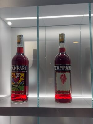 İlay Erkök Instagram - “Il Campari non è solo una bevanda. È il battito cardiaco rosso di Milano - parte di chi siamo.” ♥️ #ad @campariofficial 
•
#Campari #RedIcon #DrinkResponsibly 
•
Oggi è stata una grande visita di famiglia 😍🥹👸🏼
•
Siamo pronti per nuove avventure insieme? 💃
