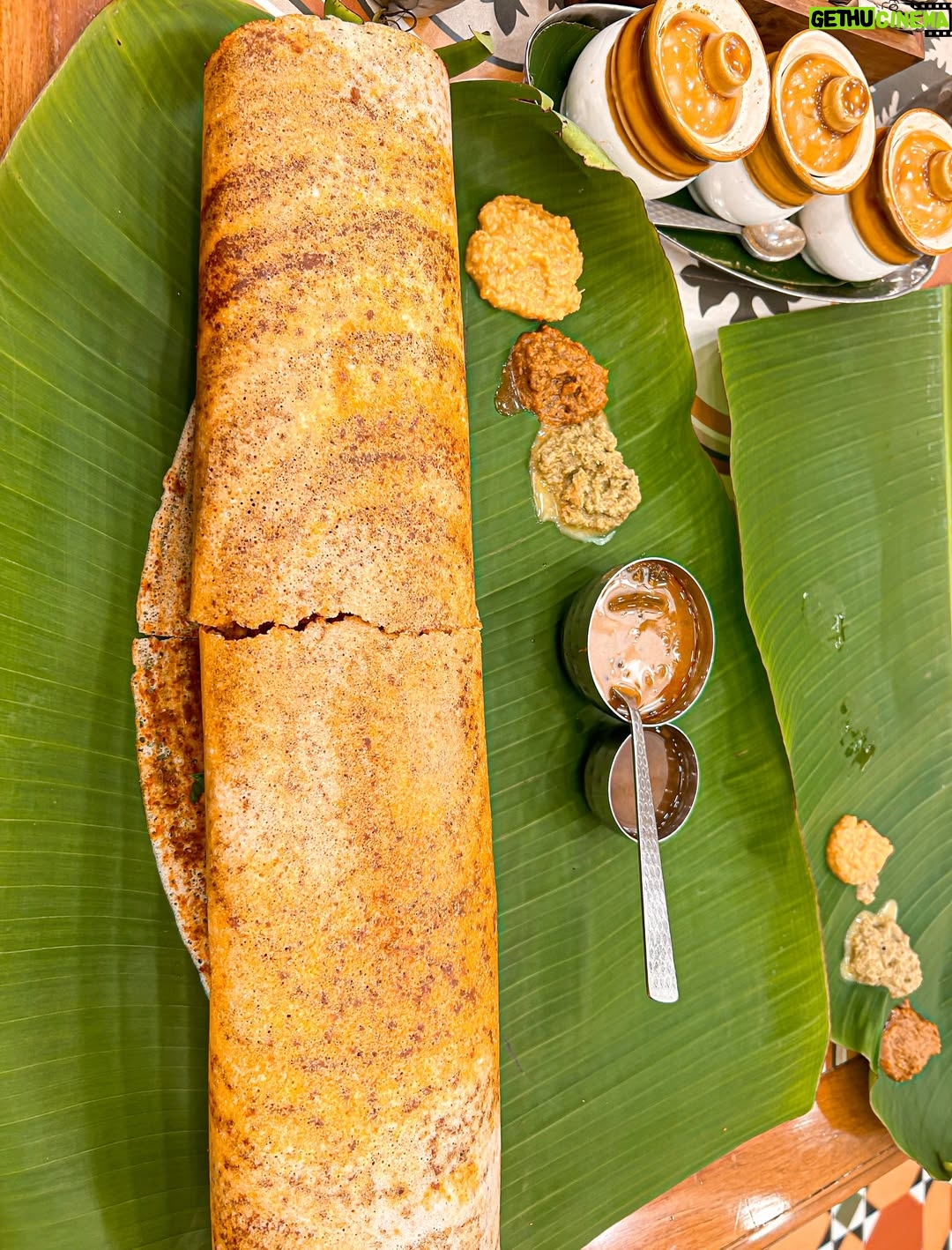 mehak sethi - 3.5K Likes - Had Authentic South Indian Cuisine – Rooted in Tradition, Rich in Taste here at @kamats_legacy ✨
If you are a dosa lover just like me , then you must visit ❤️
📍- @kamats_legacy , Malad West ✨