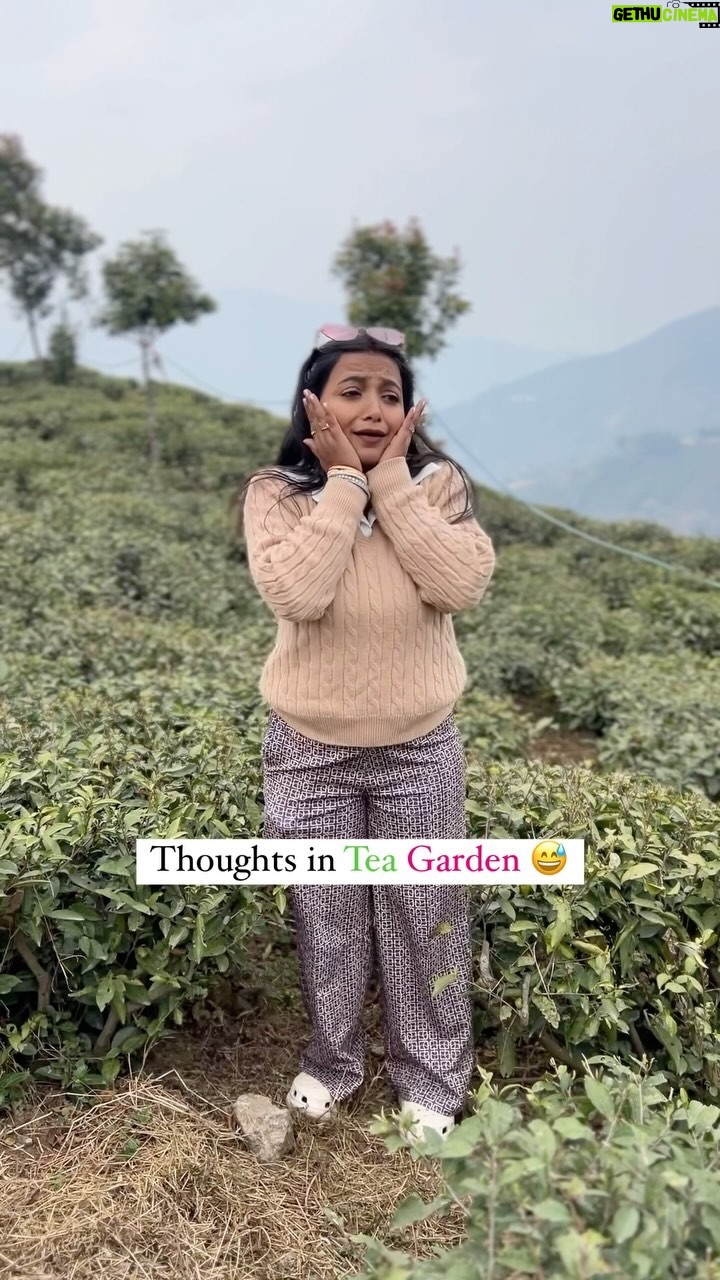monalisha ghosh - 12.9K Likes - Tea Garden Gae ho?? 😅

Tag your friends ✅

#funny #comedy #hillstation #teagarden #reels #reelitfeelit #reelkarofeelkaro #reel