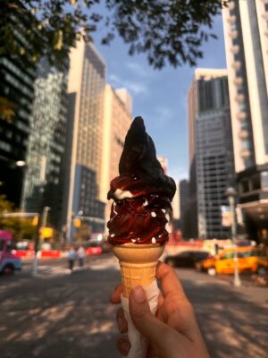 tanaya Gupta Instagram - Missing New York!!
