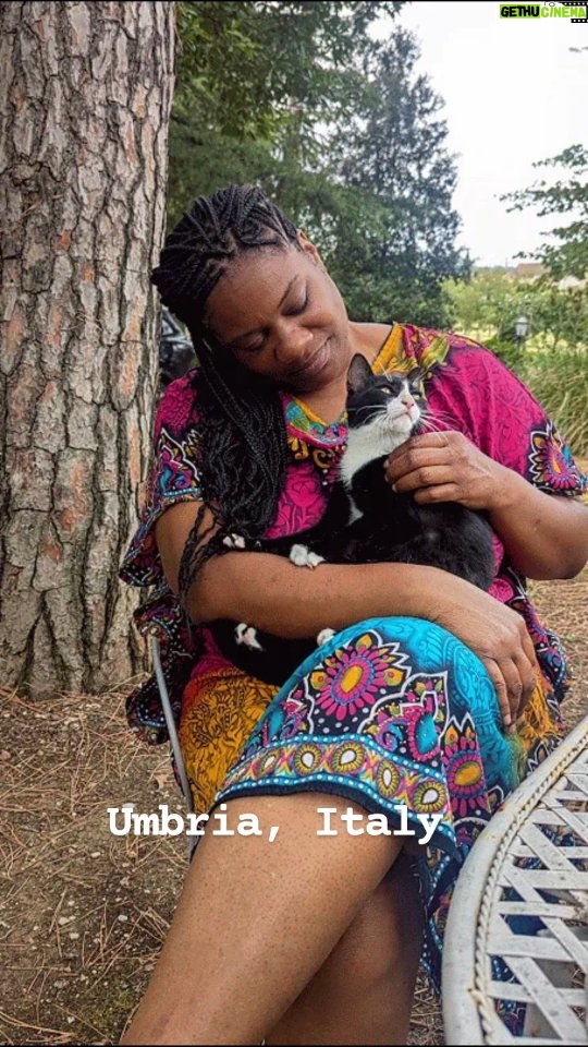 Adrienne C. Moore - 319 Likes - Thinking of you Italy. Missing this kitty and our morning cuddles. #Italy #cat #travel