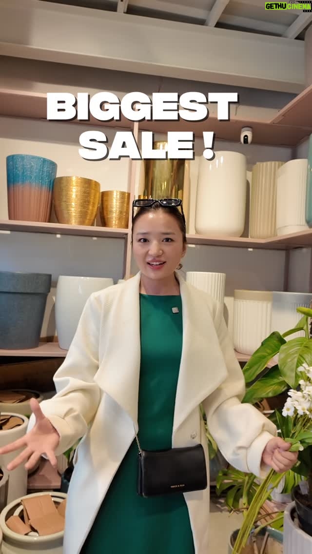 Alisha Rai - 1.1K Likes - Biggest sale of the year ! 
Dont miss it 🙌 happening fron 6th Nov till 9th Nov ✨

#mimachha #pottery #sale #biggestsale #explorepage