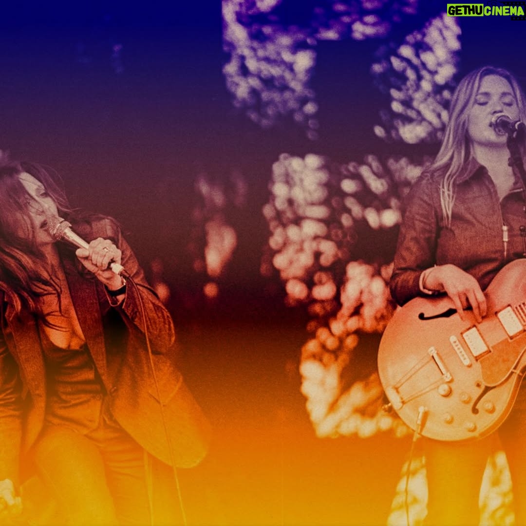 Aly Michalka - 21.7K Likes - Into The Rush turns 20 next month and to celebrate we’re releasing a live version of the album. Still get emotional singing 🎶 Don’t let nobody tell you your life is over 🎶 all these years later. Thanks for being on the ride with us for the past two decades…🥹 Comment below along with your favorite song off the album to hear it FIRST on release day and we can relive our childhood together