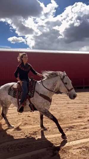 Arielle Kebbel Instagram - Thank you @savinggraciefoundation_ _  for all that you do for animals and humans too 🐴 ❤️ 🏔️ 

#rescue #animals #savinggracie #sanctuary