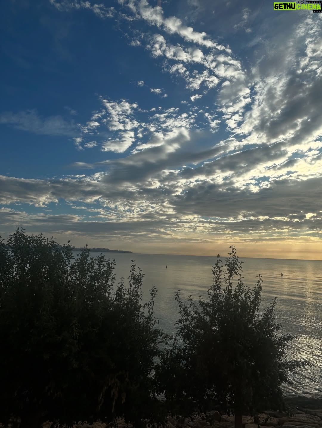 Asia Argento - 22.2K Likes - Breve vacanza aziendale: io e mio zio. Lui fa a pugni con l’aria, io prendo appunti sull’acqua. È fine ottobre, ma il sole non si rassegna: finge ancora di essere estate, come chi non sa dire addio.