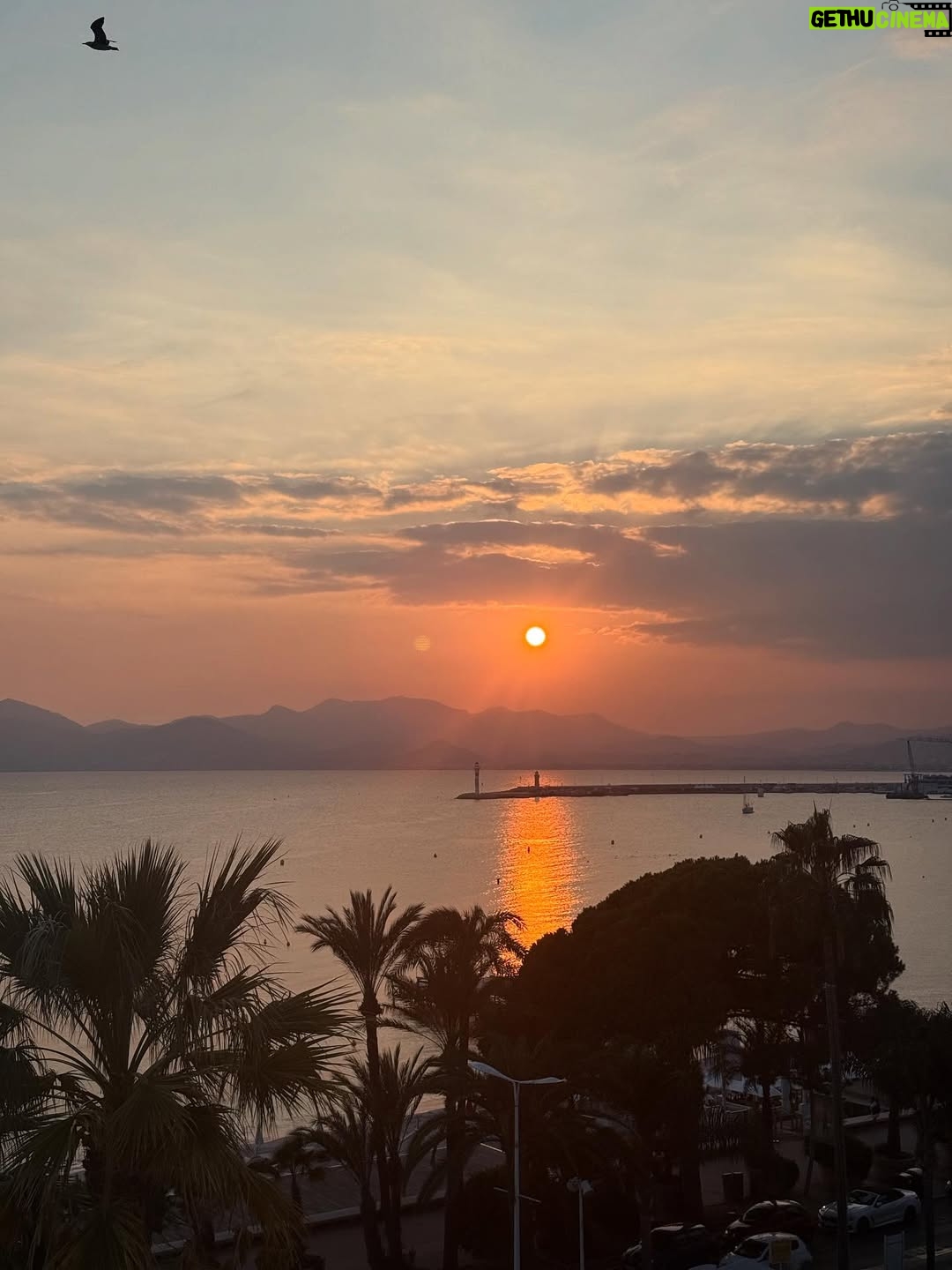 Aslihan Gurbuz - 54.7K Likes - Wonderful people and incredible memories from Cannes last week.
Huge thanks to 
@rutkayozis 
@selen_karabulut 
@ugur_karabulut_ 
and
@ogm.pictures 
🙏🏻❤️🌸

#reklam