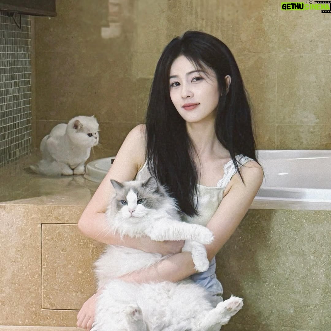 Bai Lu - 377.1K Likes - 🐱