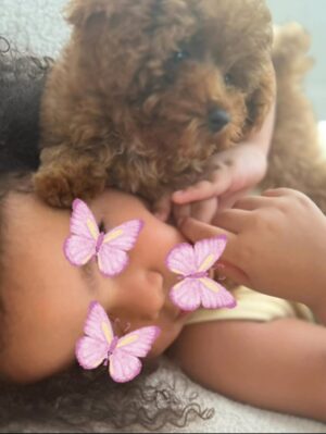 Beatriz Luengo Instagram - Por aquí de vuelta! 🙋🏻‍♀️
Estuve un ratito lejos del mundo, necesitaba contar mariposas con mi niña para descubrir que las alas rotas no impiden el vuelo, echar tardes de dominó con mi hijo para juntos aprender que al final del juego la ficha que vale menos gana la partida. Detener el tiempo para escuchar a mi madre y darme cuenta que sus miedos y los míos se parecen. Recuperar con mi padre ese mueble viejo y observar como lo convierte en arte con una calma que solo conocen los monjes budistas, para al final decirme “mira lo que hicimos” haciéndome parte de su logro simplemente porque le alcancé las herramientas mientras escuchaba sus historias del barrio. Necesitaba también mirar a @yotuel y bailar juntos en la cocina, porque nos conocimos bailando y solo deseo que no dejemos de bailar ni un solo día, porque estar en sus brazos mientras nuestros pasos se coordinan sin ni siquiera mirar al suelo es la mejor manera de recordarnos que nacimos para estar juntos.
Necesitaba todo eso, porque llevo en esta profesión desde los 9 años. Exponiéndome a la opinión de un señor en un casting, de un director, de una revista, de un comentario por ahí. Y tuve que desaparecer para volver a mirar con compasión a esa niña soñadora que todavía soy. La que va cargando con el dolor de tener que demostrar todo el tiempo. No sé si he vuelto más fuerte, pero sí más consciente. 🪷 
Hola a todos y gracias por estar ahí ❤️