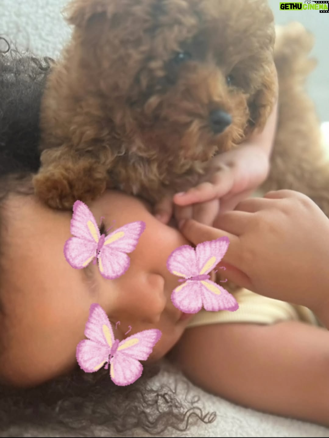 Beatriz Luengo - 26.4K Likes - Por aquí de vuelta! 🙋🏻‍♀️
Estuve un ratito lejos del mundo, necesitaba contar mariposas con mi niña para descubrir que las alas rotas no impiden el vuelo, echar tardes de dominó con mi hijo para juntos aprender que al final del juego la ficha que vale menos gana la partida. Detener el tiempo para escuchar a mi madre y darme cuenta que sus miedos y los míos se parecen. Recuperar con mi padre ese mueble viejo y observar como lo convierte en arte con una calma que solo conocen los monjes budistas, para al final decirme “mira lo que hicimos” haciéndome parte de su logro simplemente porque le alcancé las herramientas mientras escuchaba sus historias del barrio. Necesitaba también mirar a @yotuel y bailar juntos en la cocina, porque nos conocimos bailando y solo deseo que no dejemos de bailar ni un solo día, porque estar en sus brazos mientras nuestros pasos se coordinan sin ni siquiera mirar al suelo es la mejor manera de recordarnos que nacimos para estar juntos.
Necesitaba todo eso, porque llevo en esta profesión desde los 9 años. Exponiéndome a la opinión de un señor en un casting, de un director, de una revista, de un comentario por ahí. Y tuve que desaparecer para volver a mirar con compasión a esa niña soñadora que todavía soy. La que va cargando con el dolor de tener que demostrar todo el tiempo. No sé si he vuelto más fuerte, pero sí más consciente. 🪷 
Hola a todos y gracias por estar ahí ❤️
