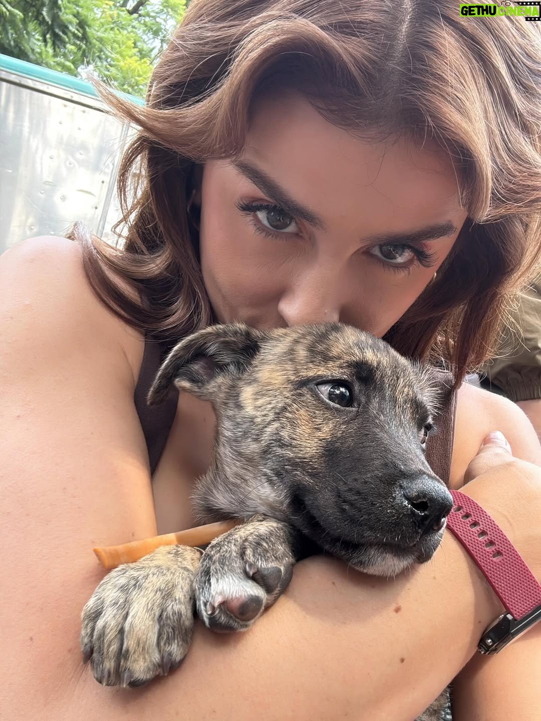 Cassandra Sánchez Navarro - 36.5K Likes - Octubre pasó volando, pero dejó huellas bonitas ✨
Un pedacito de mi mes, lleno de amor y gratitud 🙏