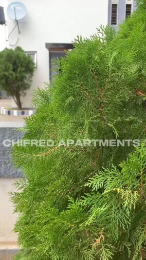 Chinyere Wilfred Instagram - Welcome to CHIFRED APARTMENTS where comfort meets cinema magic. A space designed for style and unforgettable experiences.

Located In LEKKI COUNTY, MEGA MOUND ESTATE.
A Five bedroom duplex with 24 hours power supply.

For Booking : 09023321982