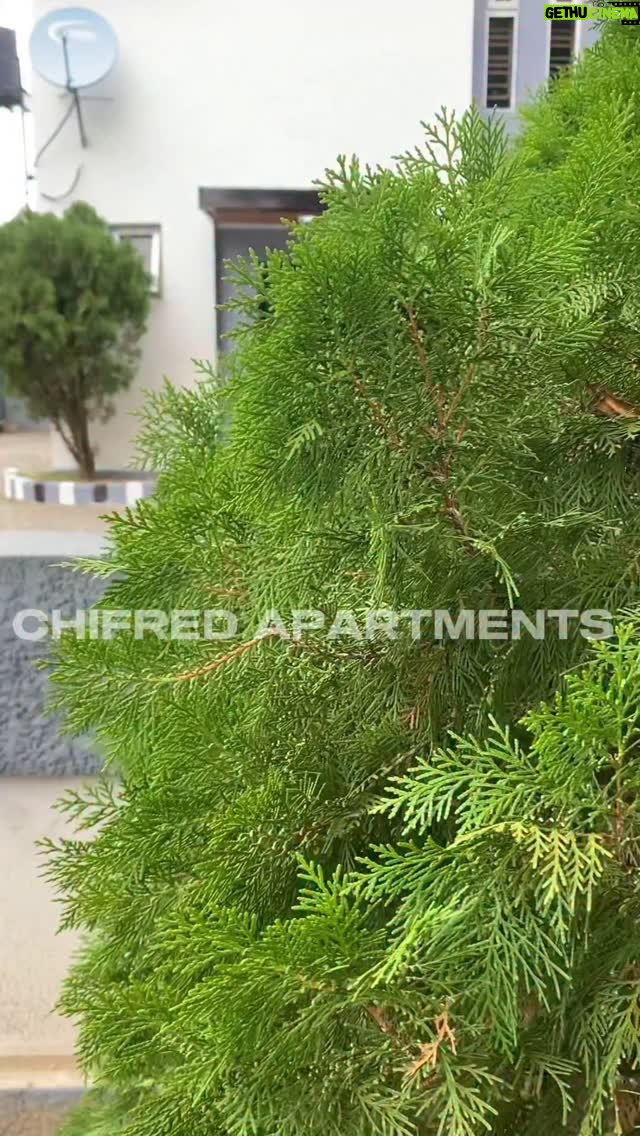 Chinyere Wilfred - 1.6K Likes - Welcome to CHIFRED APARTMENTS where comfort meets cinema magic. A space designed for style and unforgettable experiences.

Located In LEKKI COUNTY, MEGA MOUND ESTATE.
A Five bedroom duplex with 24 hours power supply.

For Booking : 09023321982