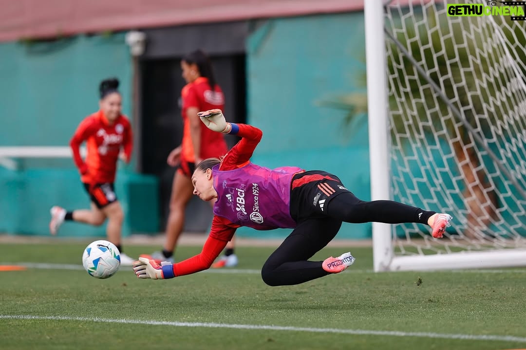 Christiane Endler - 9.5K Likes - Semana de reencuentros, de emociones y de trabajo. 💪🏽 
Te quiero mi Chile ♥️ @adidascl #laroja #ligadenaciones #brasil2027
