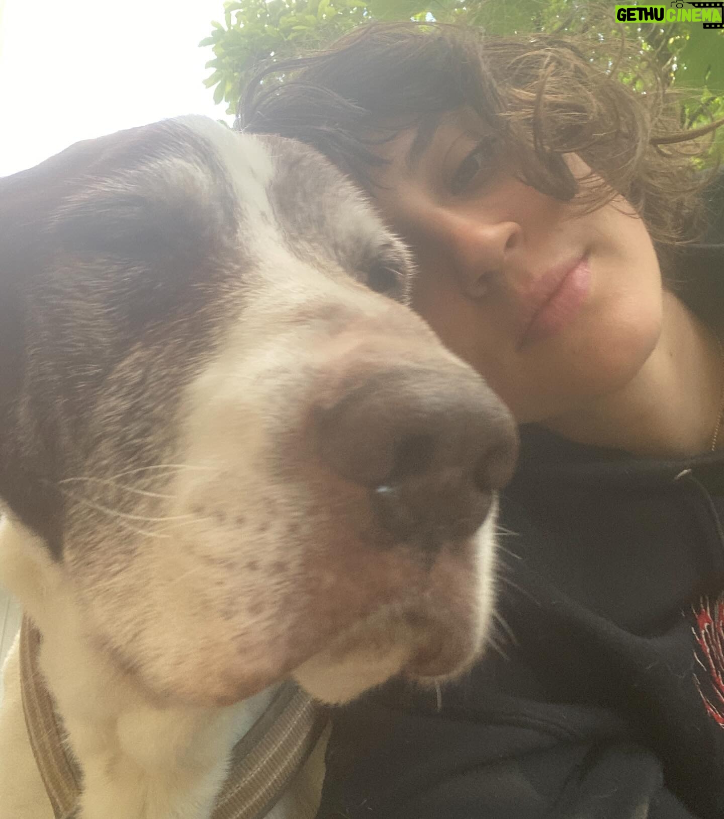 Claire Pommet - 128.9K Likes - 21.03.10 - 10.07.25 
mon premier amour de chien. 
floppy 💔