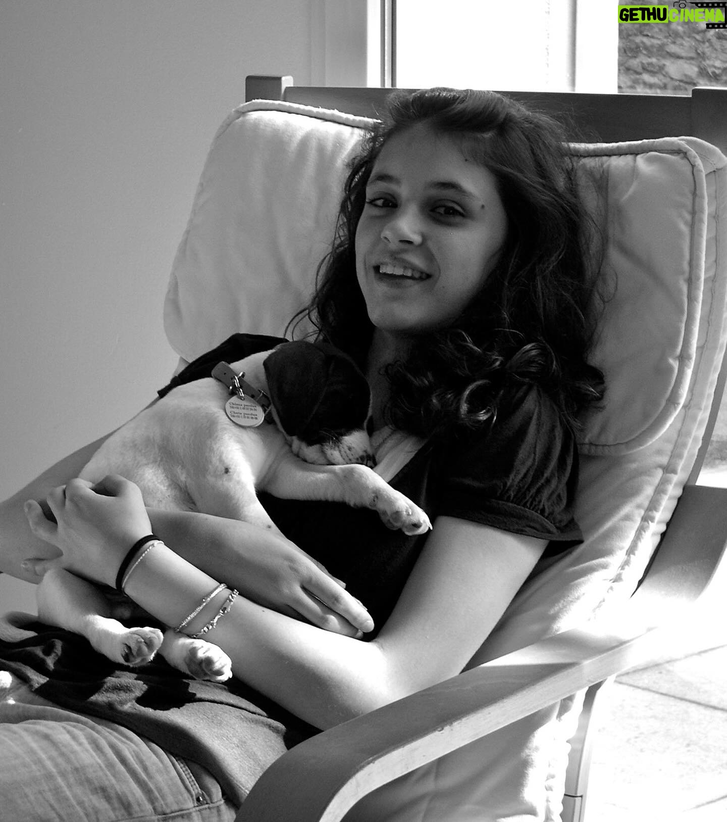Claire Pommet - 128.9K Likes - 21.03.10 - 10.07.25 
mon premier amour de chien. 
floppy 💔