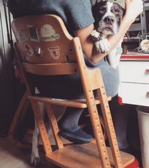 Claire Pommet Instagram - 21.03.10 - 10.07.25 
mon premier amour de chien. 
floppy 💔