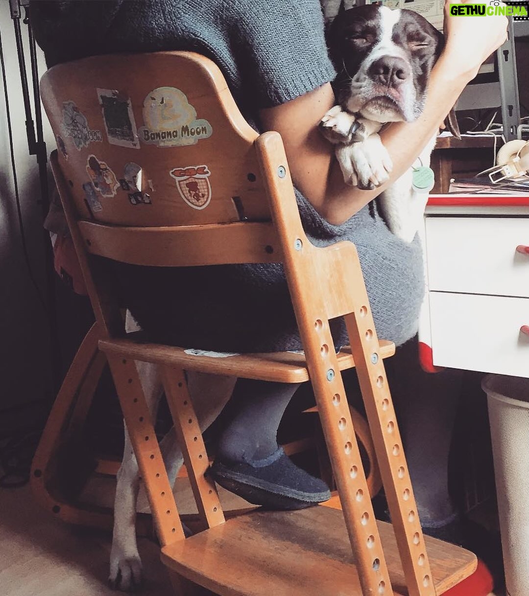 Claire Pommet - 128.9K Likes - 21.03.10 - 10.07.25 
mon premier amour de chien. 
floppy 💔