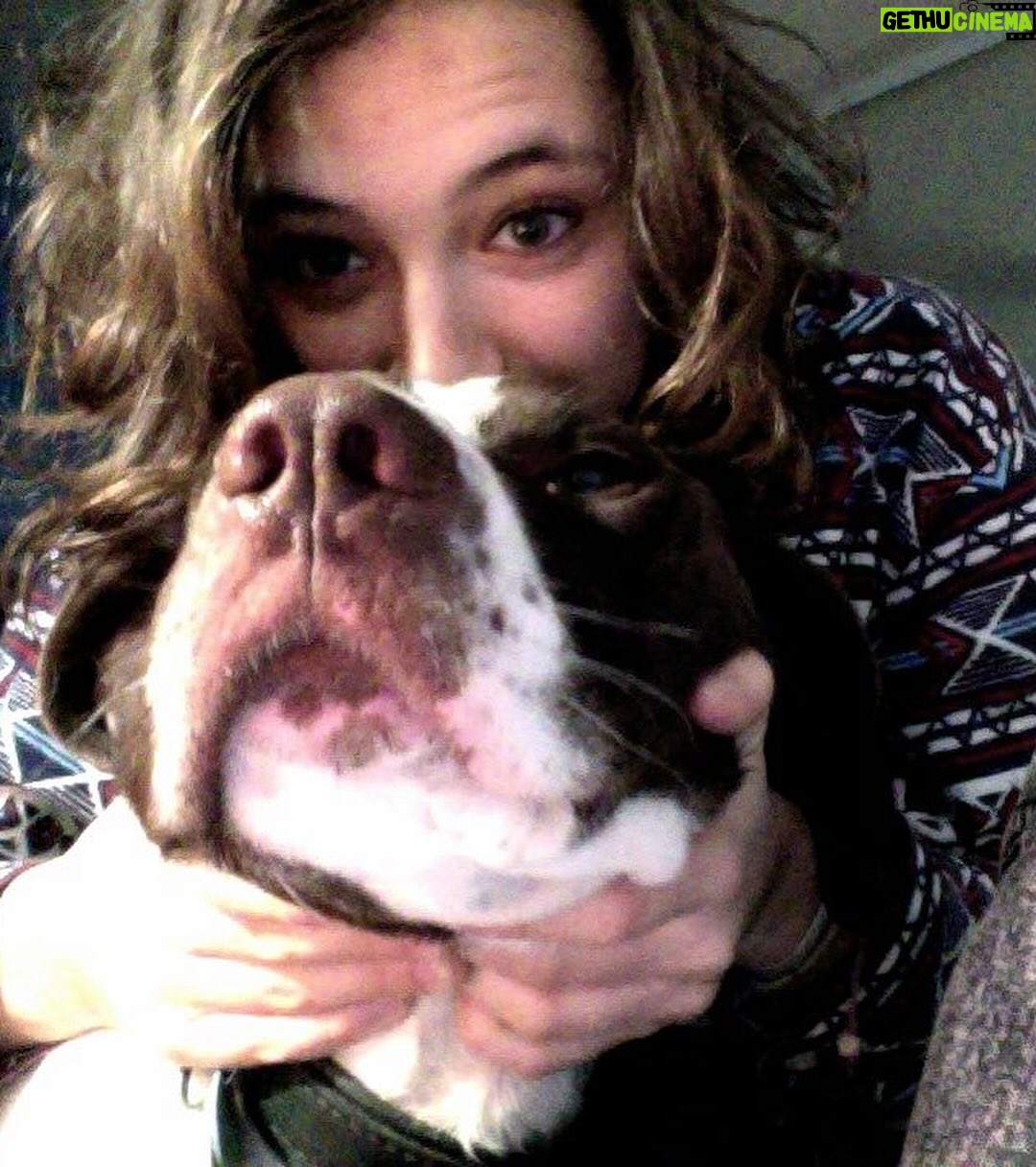 Claire Pommet - 128.9K Likes - 21.03.10 - 10.07.25 
mon premier amour de chien. 
floppy 💔