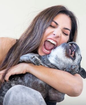 Connie Ballarini Instagram - Por siempre en mi corazón  India de mi vida 
💔💔💔💔💔
Quiero recordarte así riendo a carcajadas juntas pero hoy tengo el corazón destrozado…. sin entender, sin poder procesar todo esto tan repentino.  Por momentos siento q me voy a despertar de esta pesadilla y vas a estar ahí en mis pies acurrucada y roncando.  Hoy me desperté y no estabas y el vacío es enorme … Que falta me haces, que rara la vida sin vos, sin presentes pero con recuerdos hermosos q ahora me hacen llorar a lágrimas pero q dsp deseo de corazón q se vuelvan hermosos y llenos de amor y sonrisas.. porque eso es lo q me diste todos estos años.  Amor, un amor que no conocía y que fue el más hermoso que viví en la vida. 
Llegaste a mi vida cuando menos lo esperaba pero le diste sentido a todo… llegaste y me separé a los meses y fuiste mi compañera… luego ayer hablábamos con Fede que podríamos decir q por vos vino a vivir a casa ( para no dejarte solita tanto tiempo ) y así formamos una familia … si, vos lo hiciste… dsp como siempre con tu carisma y ese ángel hermoso que enamorabas a todos podríamos decir que enamoraste a Fede y hasta admito (y me la banco) q quieras más a Fede q a mi jajaja… yo decía ahí viene tu novio xq llegaba él y no había nada más en tu mundo… pero te amo tanto que no me importa nada y amaba que lo amarás más el… tal vez xq era tu CHEFF personal entre otras cosas!? Puede ser, y lo entiendo hijita … como no entenderte la comida rica nos puede como todas taurinas
)Hoy sería tu cumpleaños… quedaron los bonetes del cumple de Troyi ahí para tu festejo 🥹 q no será acá pero ojalá estés robándole la comida a todos los perritos en el cielo, agarrando pelotitas y tirándote los peditos más hermosos del universo. Que el cielo se llene de peditos tuyos. 
No pasó ni un día y esto se pone difícil mi amor….
Lo q te extrañamos, lo q te necesito…. Llegaste de manera sorpresiva y te fuiste igual xq nunca imaginé que iba a ser así tan rápido, de repente xq para mí estabas bien, viejita pero te la re bancabas … perdón mi amor si cometí algún error, no quise dejarte solita en la internacion… sabes q quería meterme en la jaulita con vos si era posible. 
…( sigue abajo )