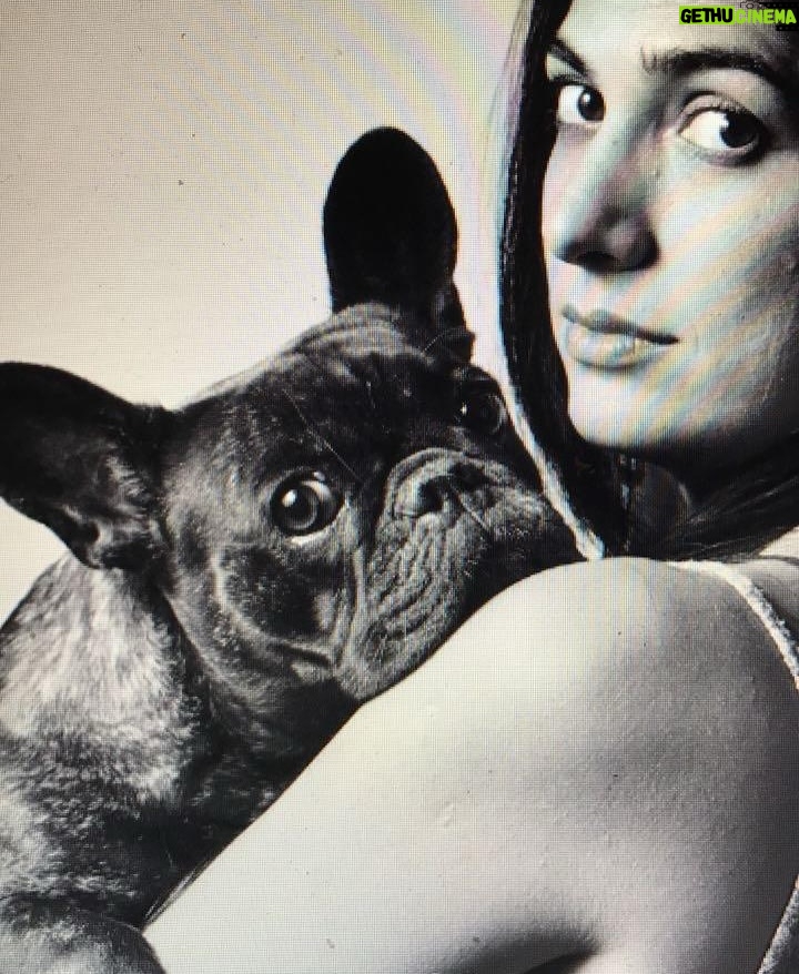 Connie Ballarini - 125.3K Likes - Por siempre en mi corazón  India de mi vida 
💔💔💔💔💔
Quiero recordarte así riendo a carcajadas juntas pero hoy tengo el corazón destrozado…. sin entender, sin poder procesar todo esto tan repentino.  Por momentos siento q me voy a despertar de esta pesadilla y vas a estar ahí en mis pies acurrucada y roncando.  Hoy me desperté y no estabas y el vacío es enorme … Que falta me haces, que rara la vida sin vos, sin presentes pero con recuerdos hermosos q ahora me hacen llorar a lágrimas pero q dsp deseo de corazón q se vuelvan hermosos y llenos de amor y sonrisas.. porque eso es lo q me diste todos estos años.  Amor, un amor que no conocía y que fue el más hermoso que viví en la vida. 
Llegaste a mi vida cuando menos lo esperaba pero le diste sentido a todo… llegaste y me separé a los meses y fuiste mi compañera… luego ayer hablábamos con Fede que podríamos decir q por vos vino a vivir a casa ( para no dejarte solita tanto tiempo ) y así formamos una familia … si, vos lo hiciste… dsp como siempre con tu carisma y ese ángel hermoso que enamorabas a todos podríamos decir que enamoraste a Fede y hasta admito (y me la banco) q quieras más a Fede q a mi jajaja… yo decía ahí viene tu novio xq llegaba él y no había nada más en tu mundo… pero te amo tanto que no me importa nada y amaba que lo amarás más el… tal vez xq era tu CHEFF personal entre otras cosas!? Puede ser, y lo entiendo hijita … como no entenderte la comida rica nos puede como todas taurinas
)Hoy sería tu cumpleaños… quedaron los bonetes del cumple de Troyi ahí para tu festejo 🥹 q no será acá pero ojalá estés robándole la comida a todos los perritos en el cielo, agarrando pelotitas y tirándote los peditos más hermosos del universo. Que el cielo se llene de peditos tuyos. 
No pasó ni un día y esto se pone difícil mi amor….
Lo q te extrañamos, lo q te necesito…. Llegaste de manera sorpresiva y te fuiste igual xq nunca imaginé que iba a ser así tan rápido, de repente xq para mí estabas bien, viejita pero te la re bancabas … perdón mi amor si cometí algún error, no quise dejarte solita en la internacion… sabes q quería meterme en la jaulita con vos si era posible. 
…( sigue abajo )